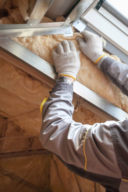Best Insulation Installation Services in Pheasant Run, OH