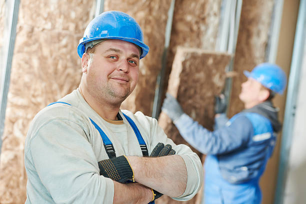 Best Insulation Installation Services in Pheasant Run, OH